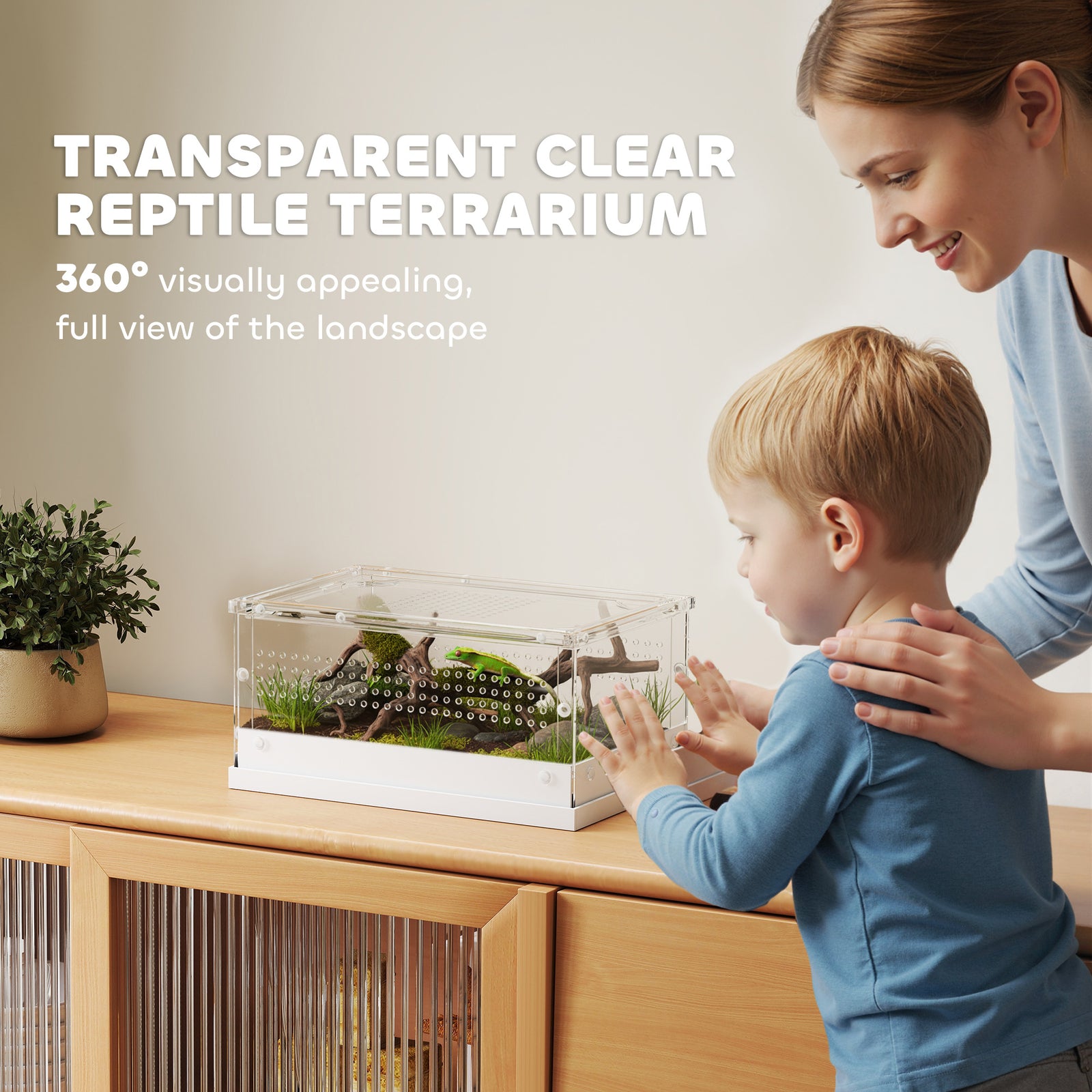 Reptile Terrarium, Vivarium Acrylic For Snake, Gecko | Small | Clear