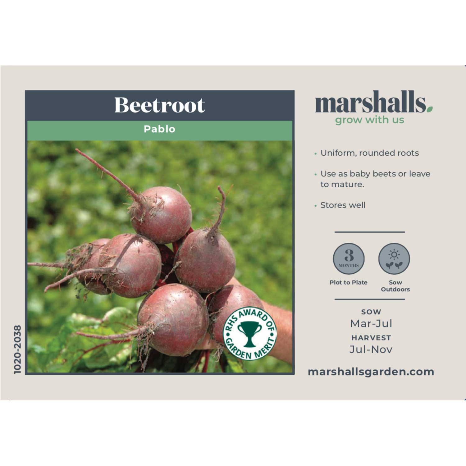 Beetroot 'pablo' | 300 Seeds