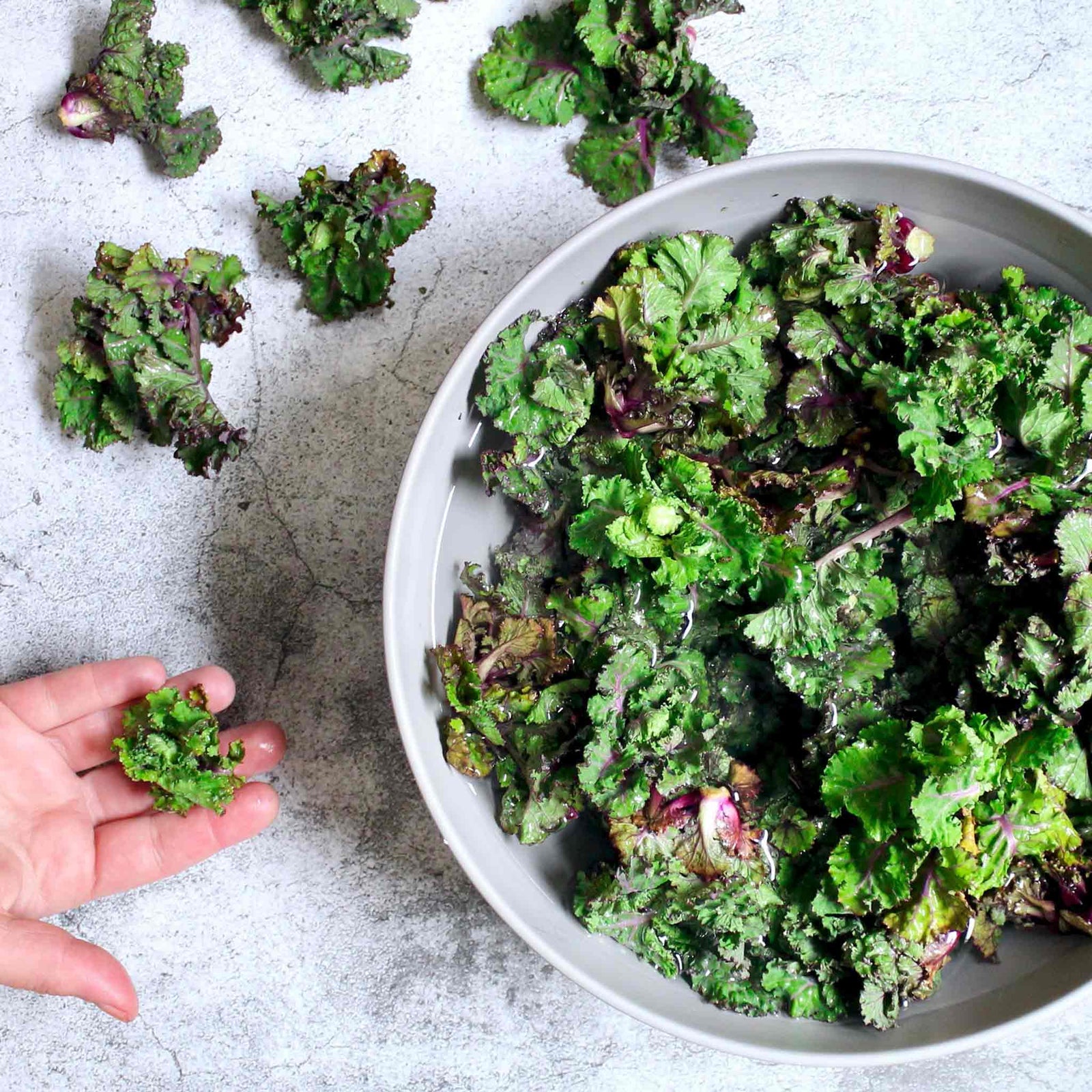 Kalettes Kale X Brussels Sprout Winter-hardy | 8 x Plug Plants | Green