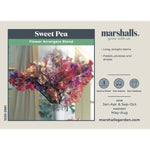 Sweet Pea 'flower Arranger's Blend' Scented Pastel Mix Seeds | 50 Seeds