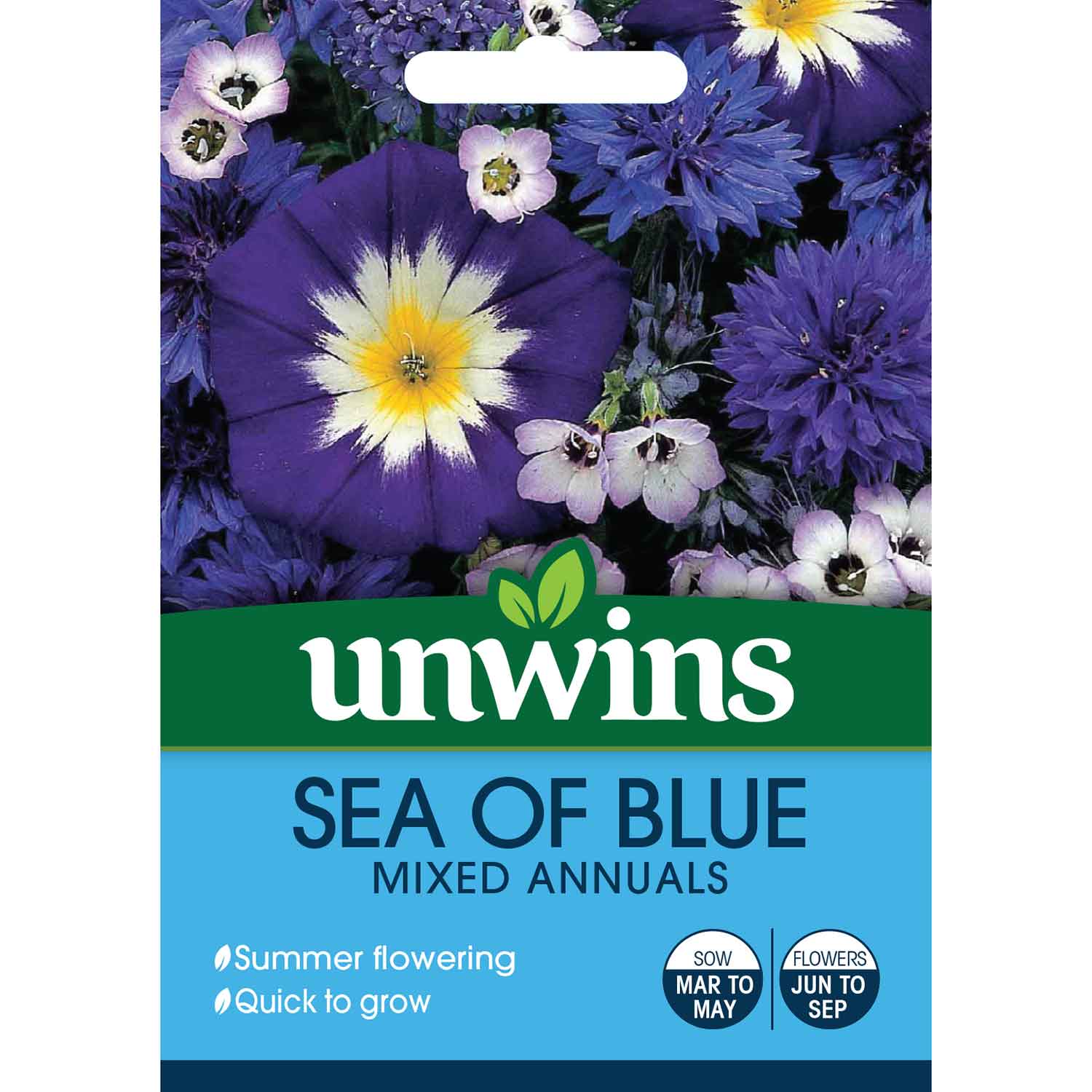 Sea Of Blue Mixed Annual Seeds | 350 Seeds