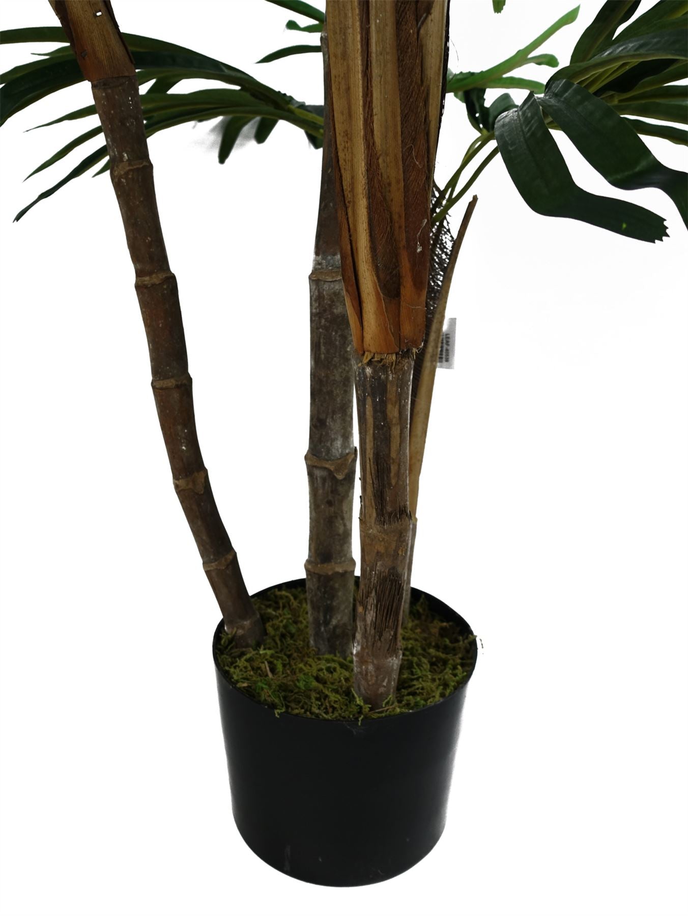 Raphis Palm Artificial Tree 100cm - Realistic Plant By Botanik