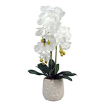 60cm Pure White Artificial Orchid With Ceramic Bubble Planter