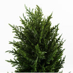 120cm Spiral Cypress Artificial Tree Uv Resistant Outdoor