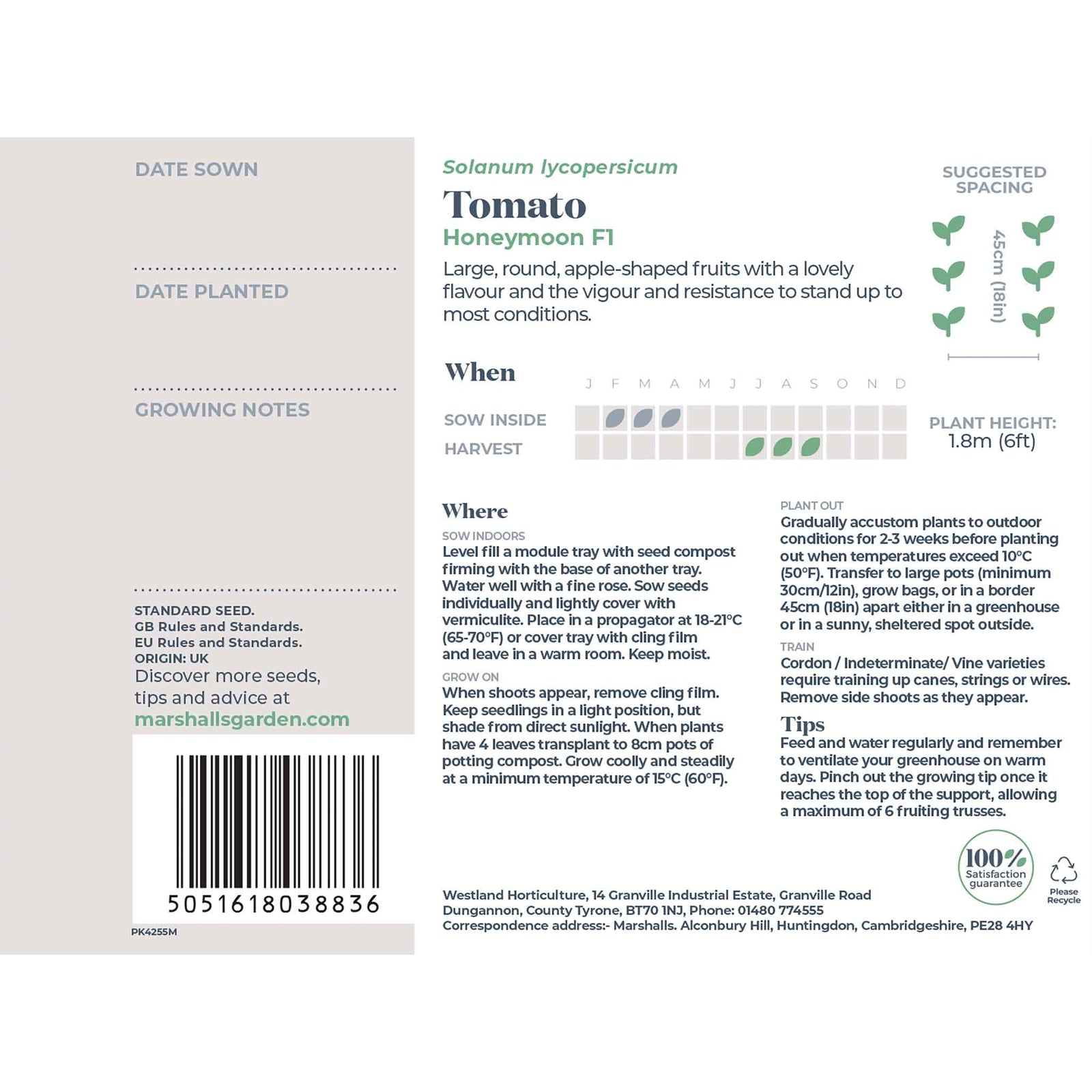 Honeymoon F1 Salad Tomato Seeds | 6 Seeds