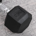 12.5kg Hex Rubber Dumbbell For Home Exercise | Black