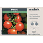 Cocktail Crush Tomato Seeds | Set of 10