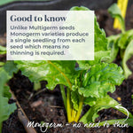 Burpees Golden Beetroot | 100 Seeds
