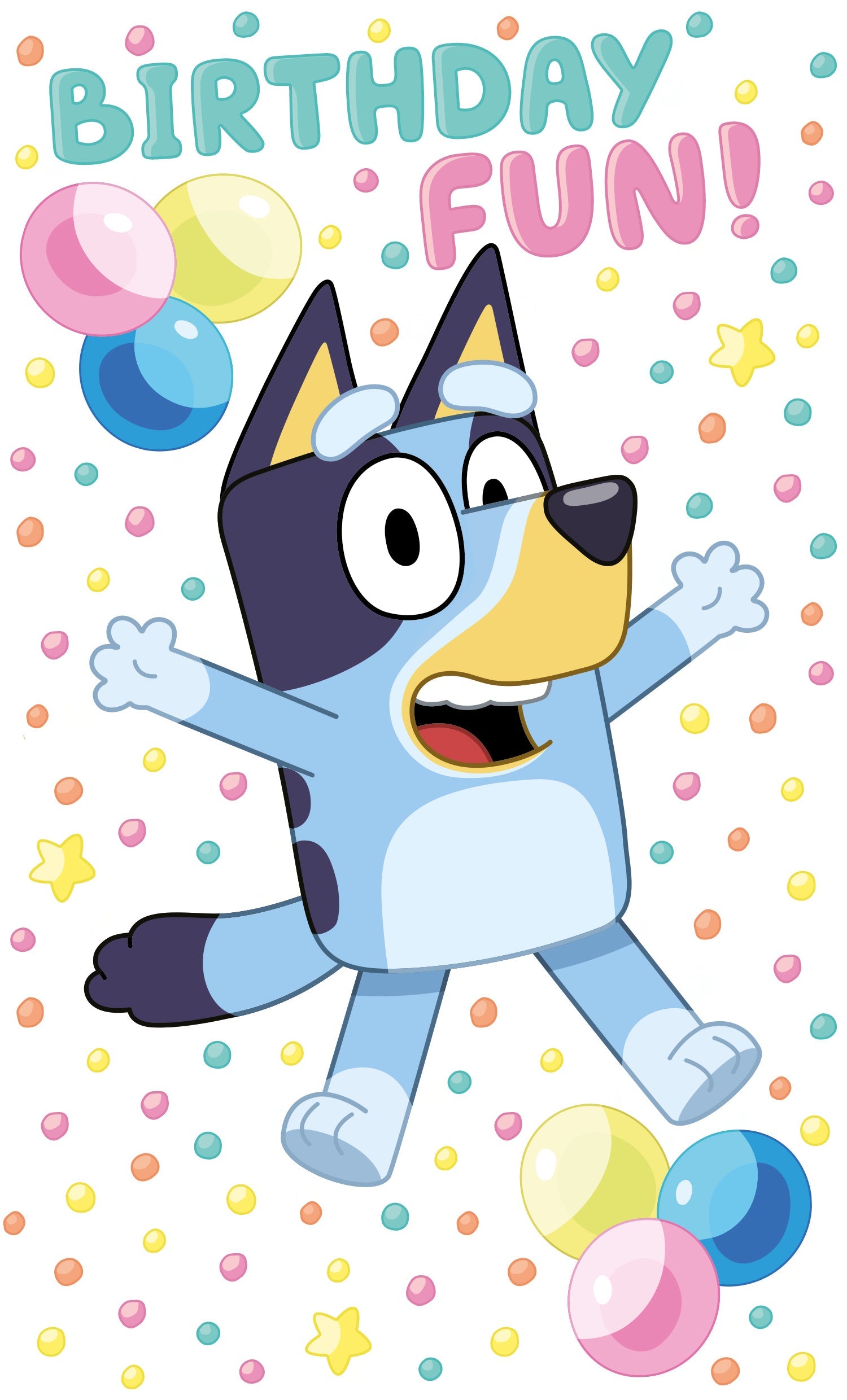 Birthday Fun!' Birthday Card Official Product