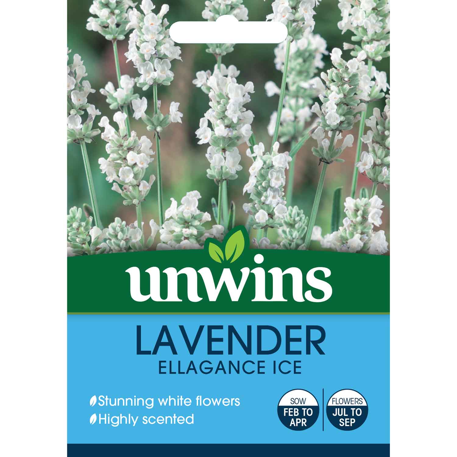 Ellagance Ice Lavender Seeds | 20 Seeds | Green & White