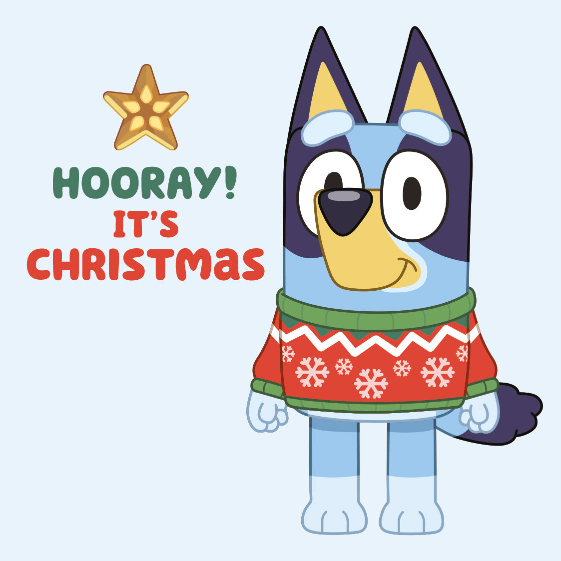 Christmas Card Multipack Official Product