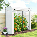 Mini Greenhouse, Portable Indoor Outdoor Green House With Pe Cover | White