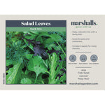 Salad Seeds Herb Mix -  Mixed Baby Leaves
