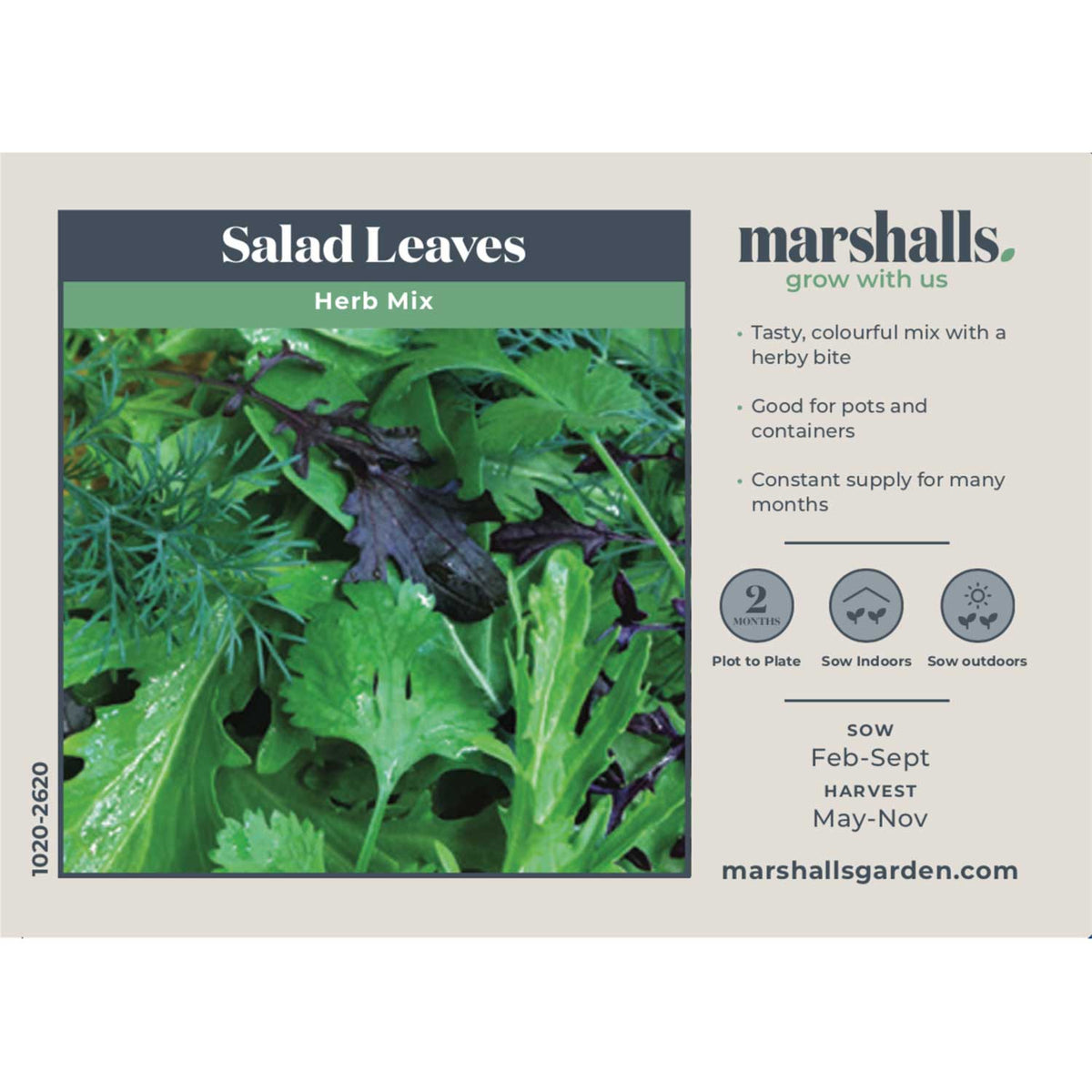 Salad Seeds Herb Mix -  Mixed Baby Leaves
