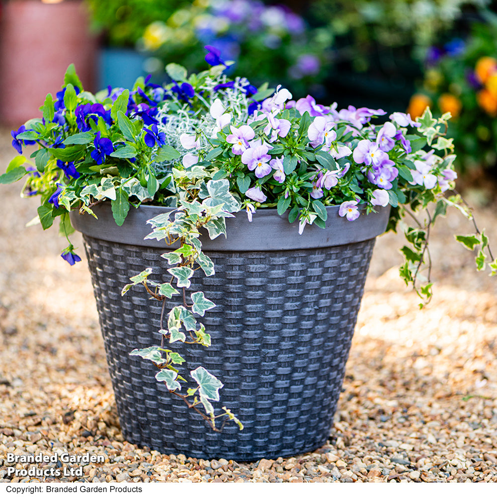 Wicker Design Planter (d40 X H30cm) | Set of 1