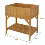 Raised Wooden Planter