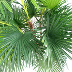 Fan Palm Artificial Tree 90cm - Realistic Plant By Botanik