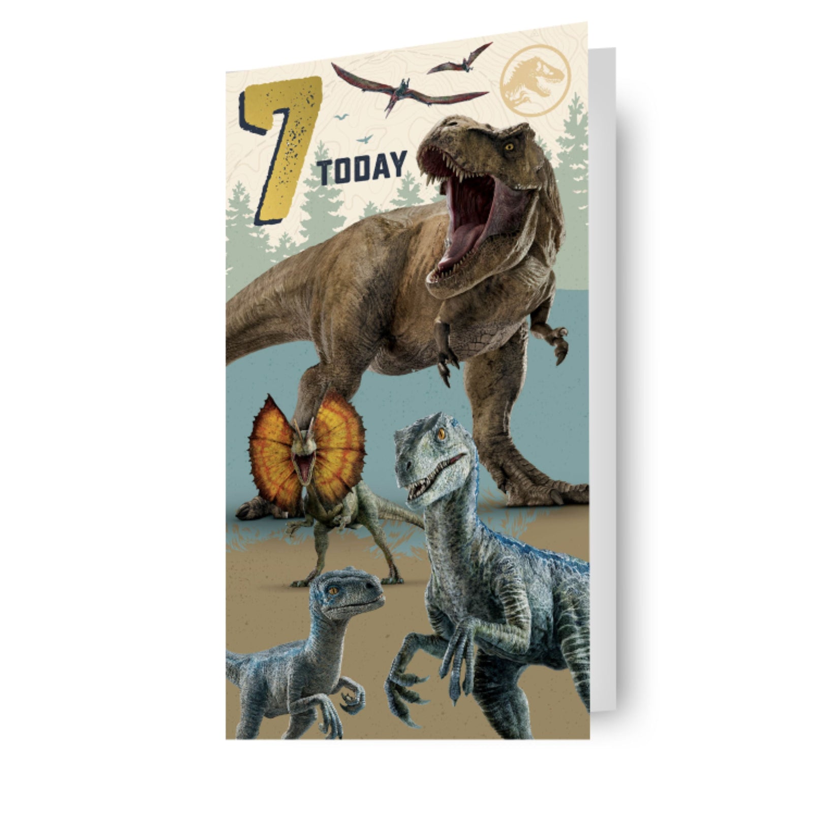 Age 7 Birthday Card Official Product