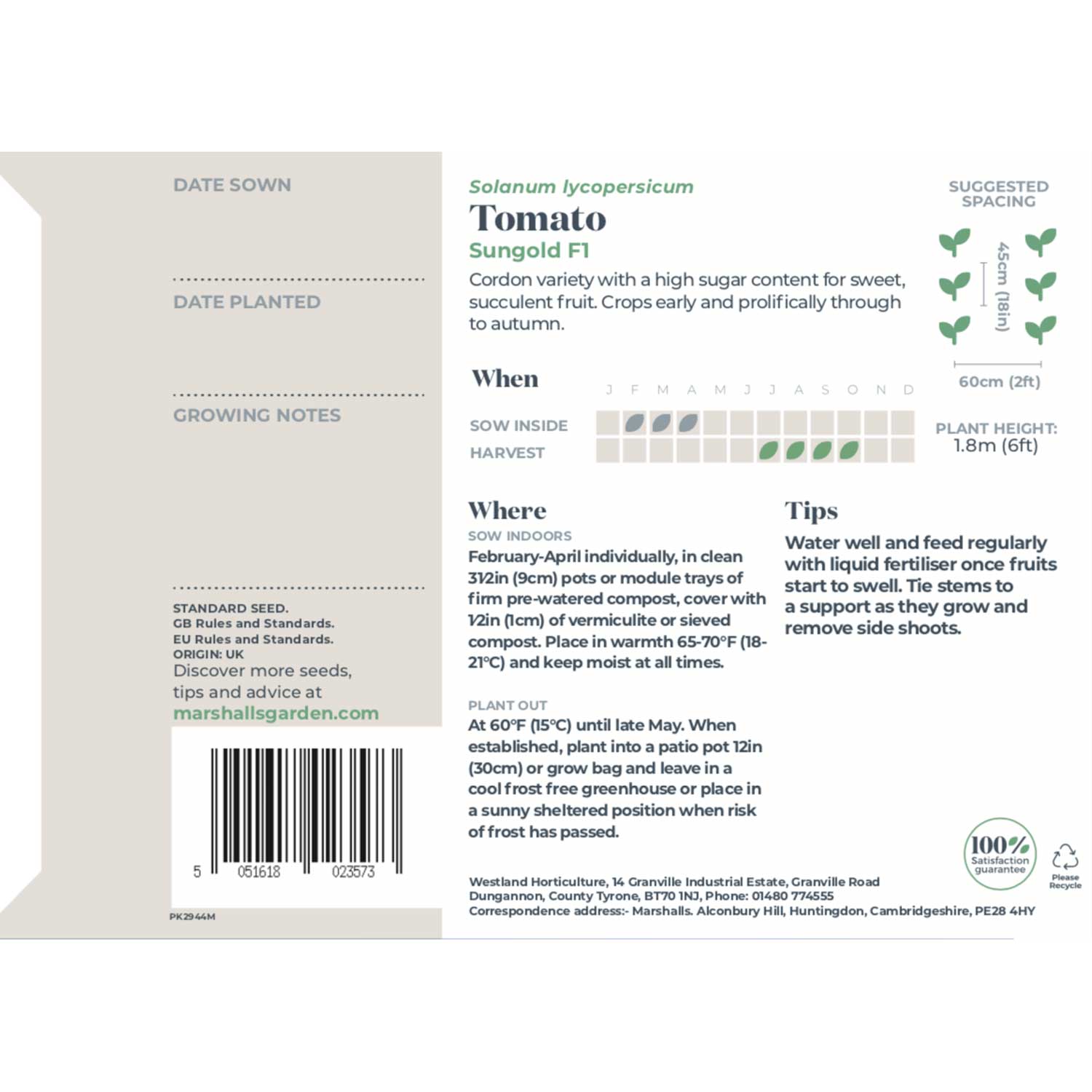 Sungold F1 Cordon Tomato Seeds | 15 Seeds