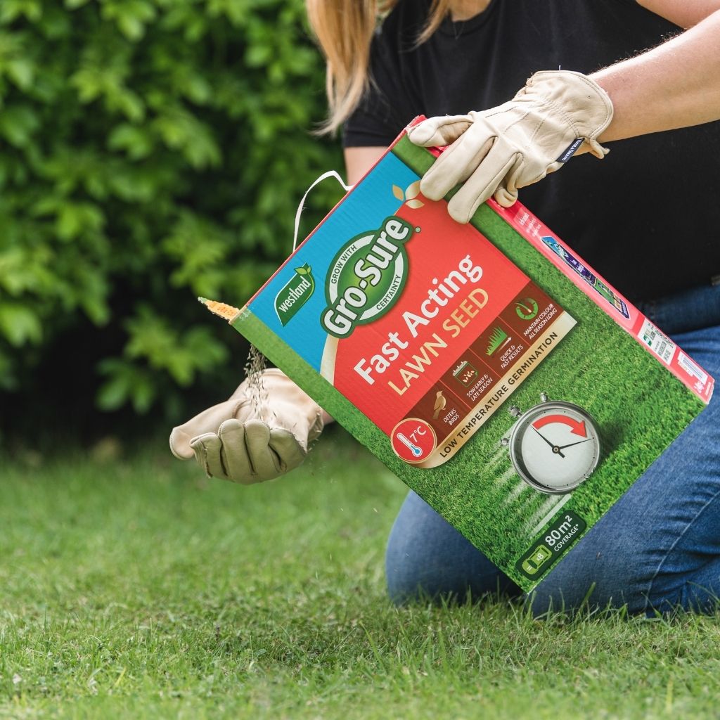 Fast Acting Lawn Seed - Fast-germinating, Hard-wearing Blend | 1 x 80sqm