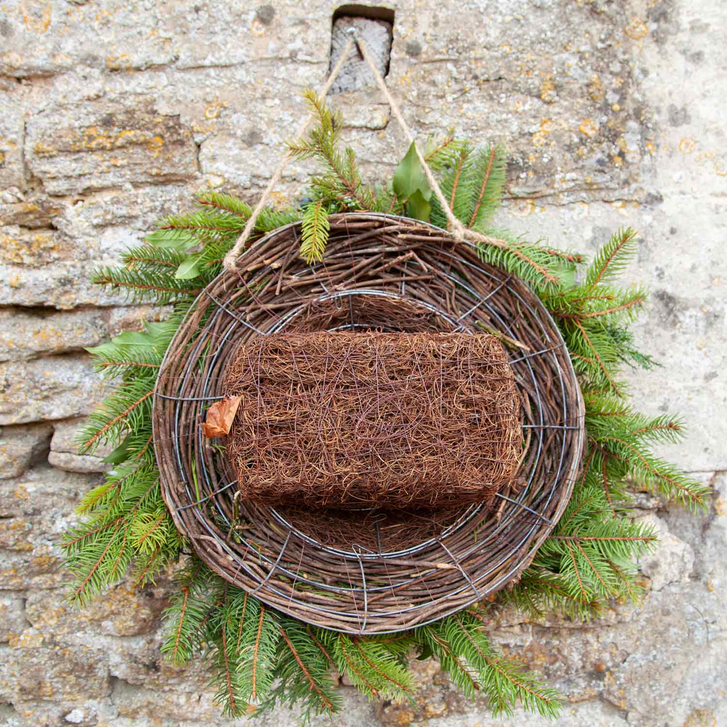 Simon King Wreath Nester For Small Birds 40cm | Brown