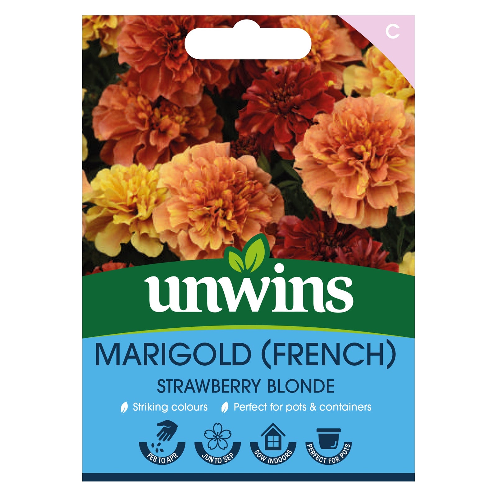 French Marigold Seeds Strawberry Blonde - 30 Seeds | 30 Seeds | Multi