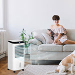 Portable Air Cooler, Evaporative Anion Ice Cooling Fan