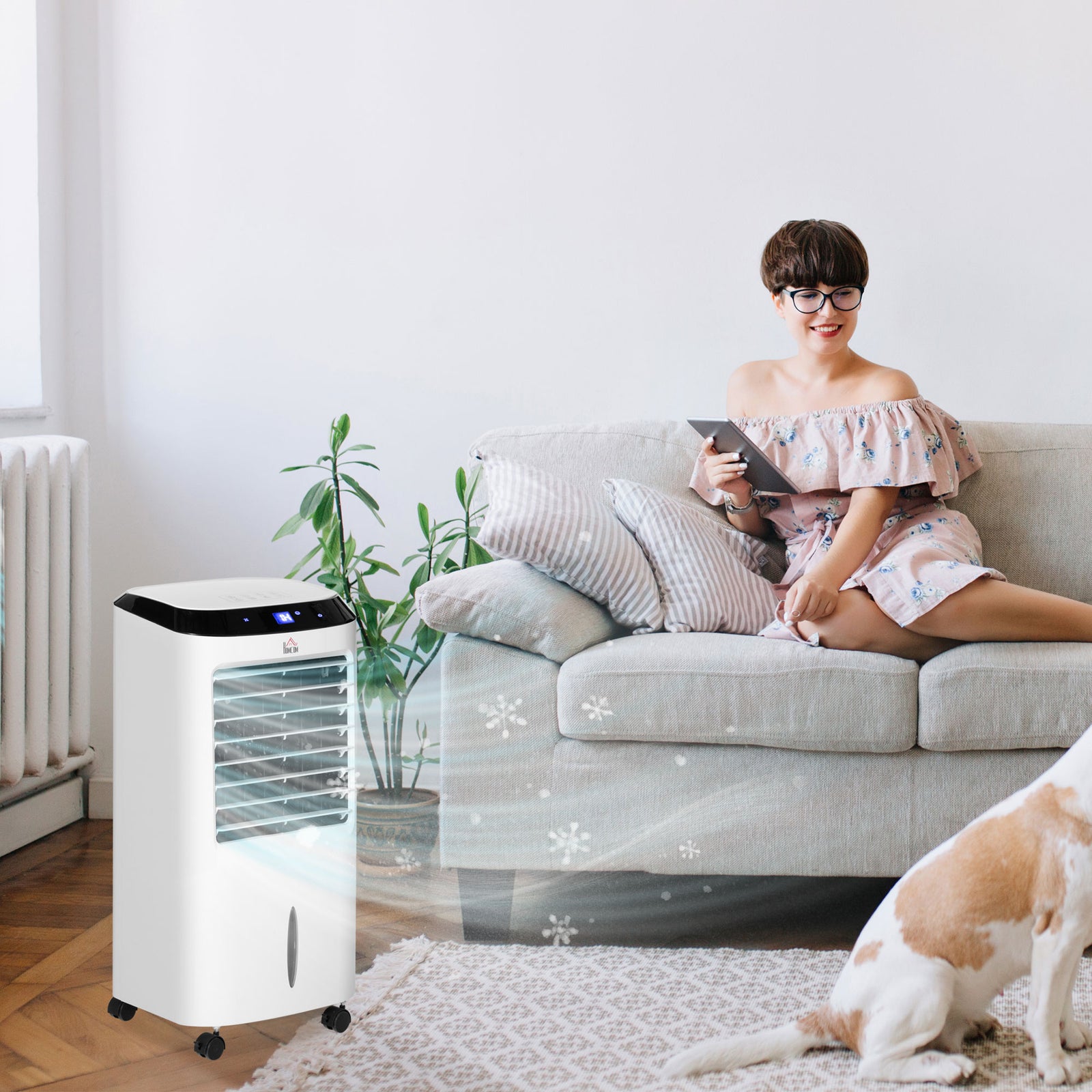 Portable Air Cooler, Evaporative Anion Ice Cooling Fan