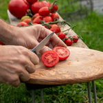 Tomato Seeds 'premio' F1 | Set of 10