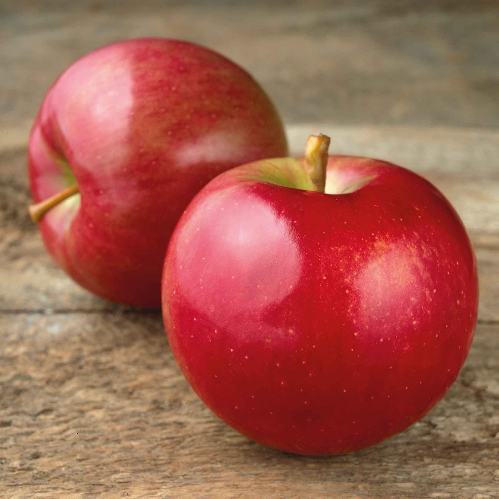 Apple Twin Tree Braeburn & Idared (m26 Semi-dwarf) | 1 x Bare Root | Multi