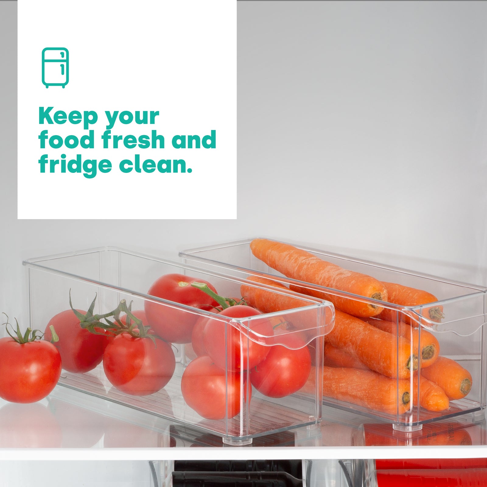 Fridge Storage Medium Containers Set Of 2