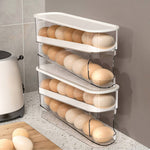 2-layer Scrolling Egg Holder Storage Rack