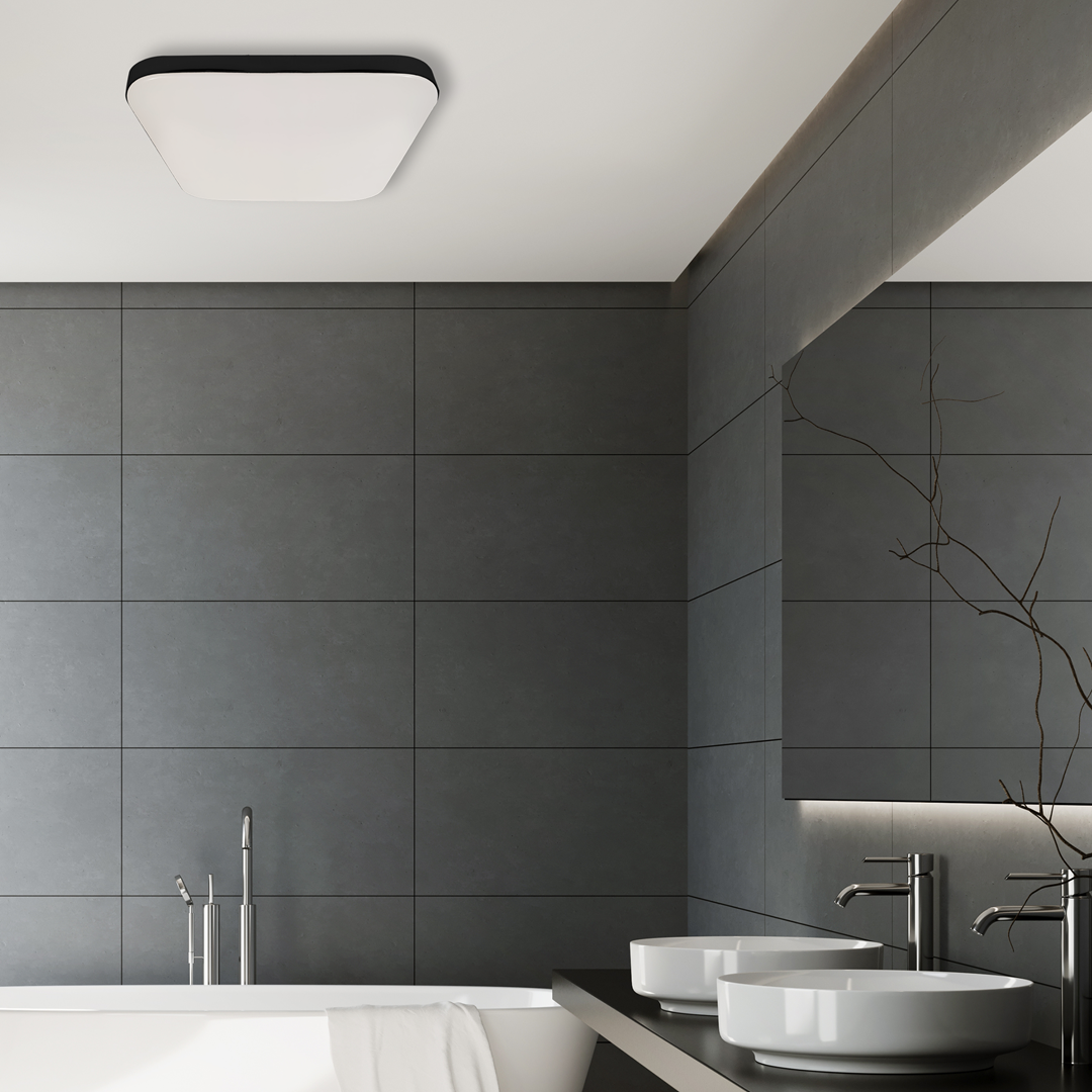 Nemo 17w(100w) Ceiling Lamp A Stylish Robust 33cm Ceiling Lamp With Matt Black Edging Outdoor Or Bathroom