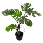 60cm  Realistic Artificial Monstera Cheese Plant