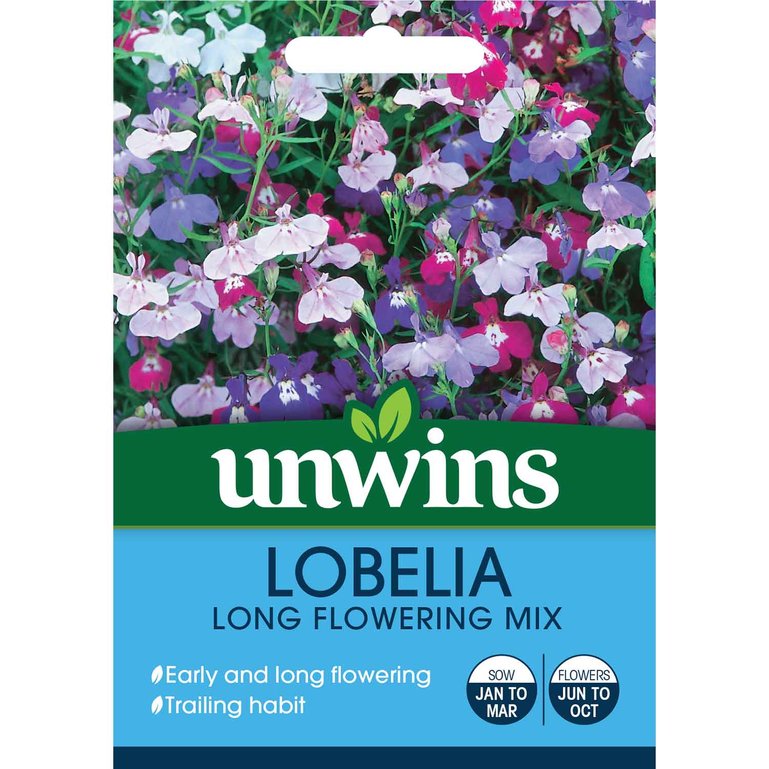 Lobelia Long Flowering Mix Seeds | 1000 Seeds | Multi