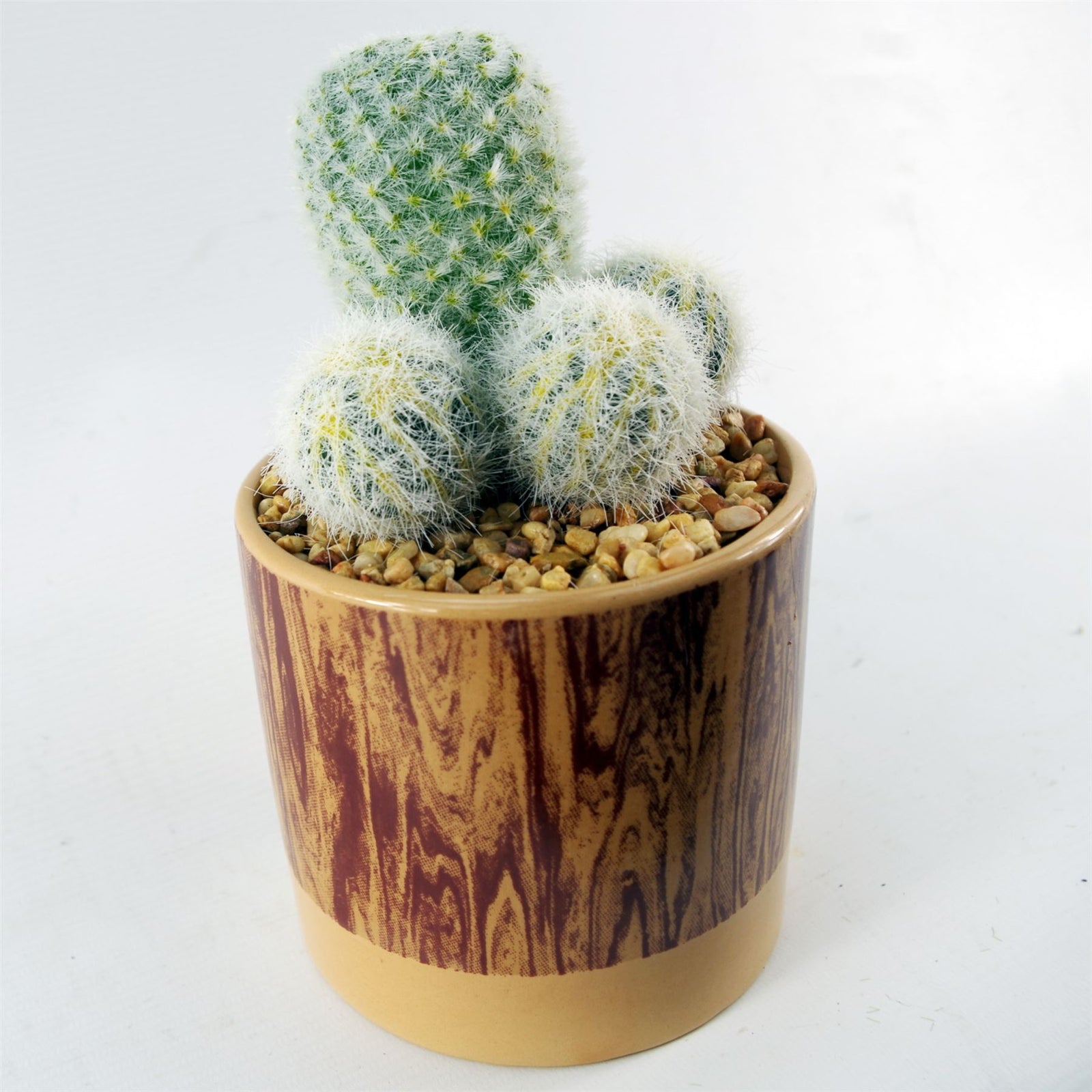 20cm Artificial Cactus Arrangement In Ceramic Planter