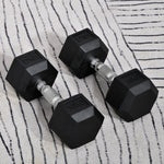 2x10kg Rubber Hex Dumbbells For Home Gym | Black