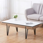 Satori Stone Coffee Table | Set-of-1 | Light Slate Gray