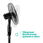 16" Pedestal Fan - Black