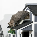 Wooden Outdoor Cat House W/ Flower Pot, Windows, Multiple Entrances