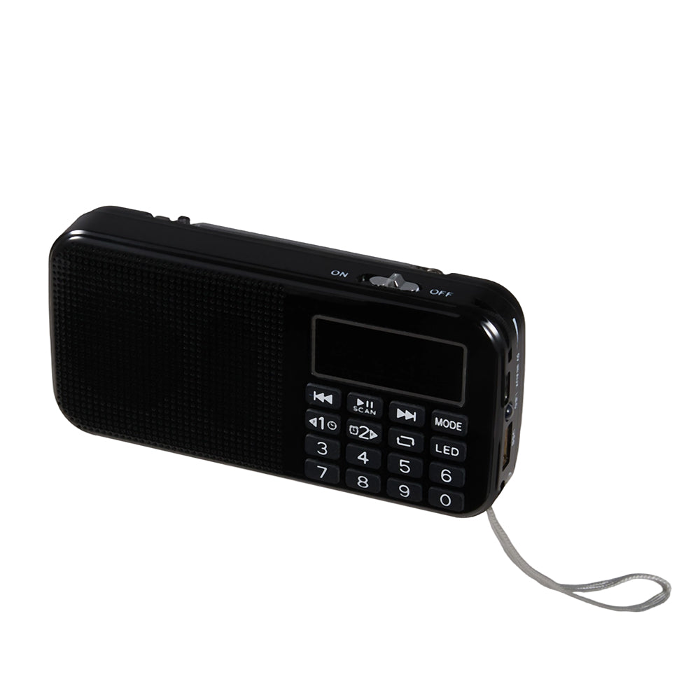 Rechargeable Battery-powered Portable Digital Radio Speaker
