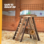 Hamster Wooden Climbing Wall