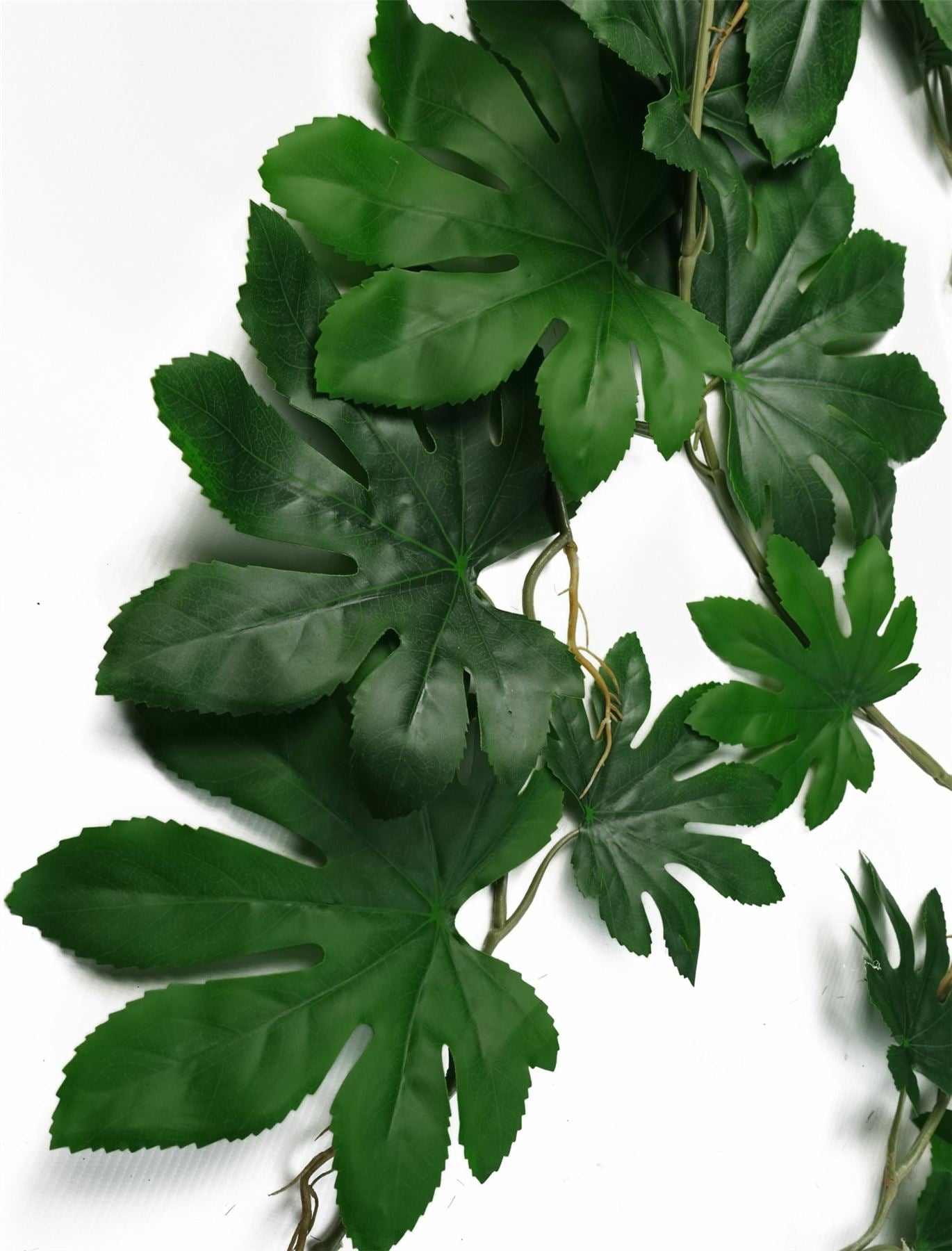 110cm Artificial Trailing Hanging Aralia Plant