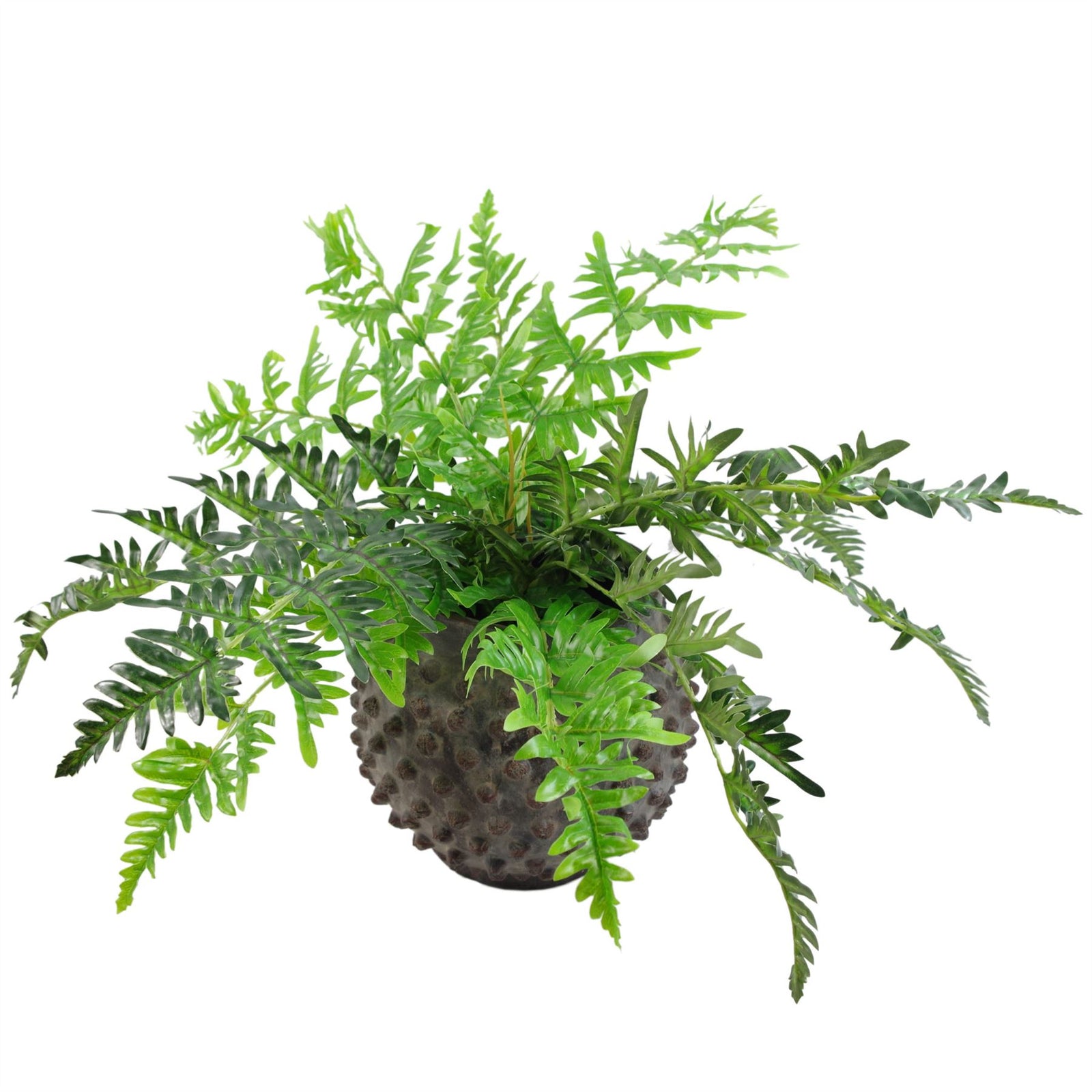 Luxury Artificial Evergreen Fern Plant 50cm