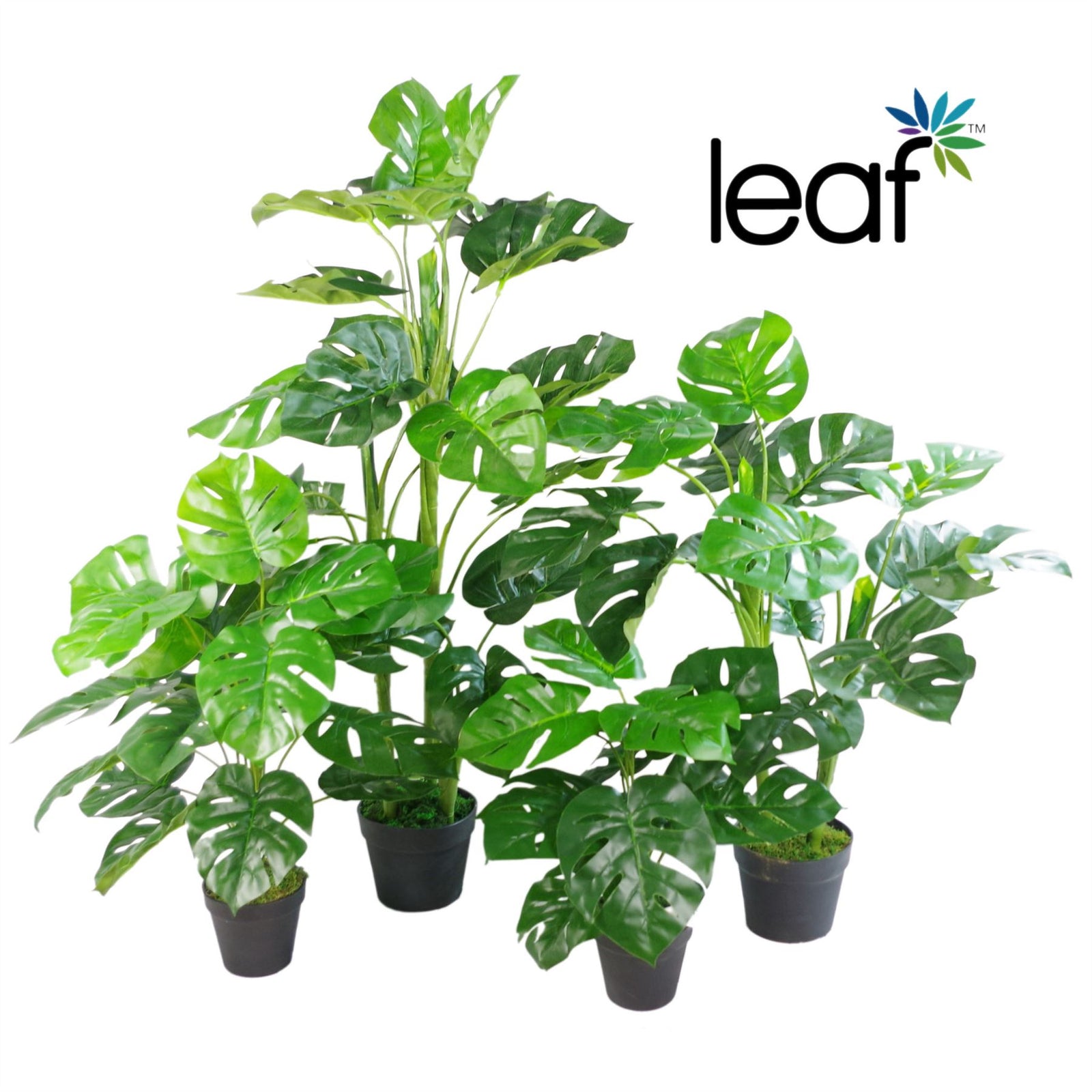 Artificial Monstera Plant 100cm Monstera
