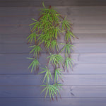 Pack Of 12 X 100cm Artificial Hanging Acer Plant