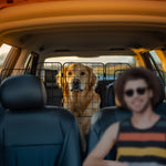 Pawhut Dog Guard For Suvs, Vehicles, Vans, Car Barrier With Adjustable Width