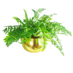 Xl Metal Bowl 32 X 20cm Hammered Gold Colour - Straight Edge