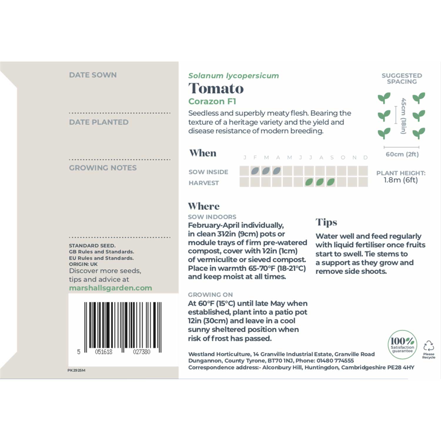 Tomato Corazon F1 (albenga Oxheart Beefsteak) Seeds | 5 Seeds