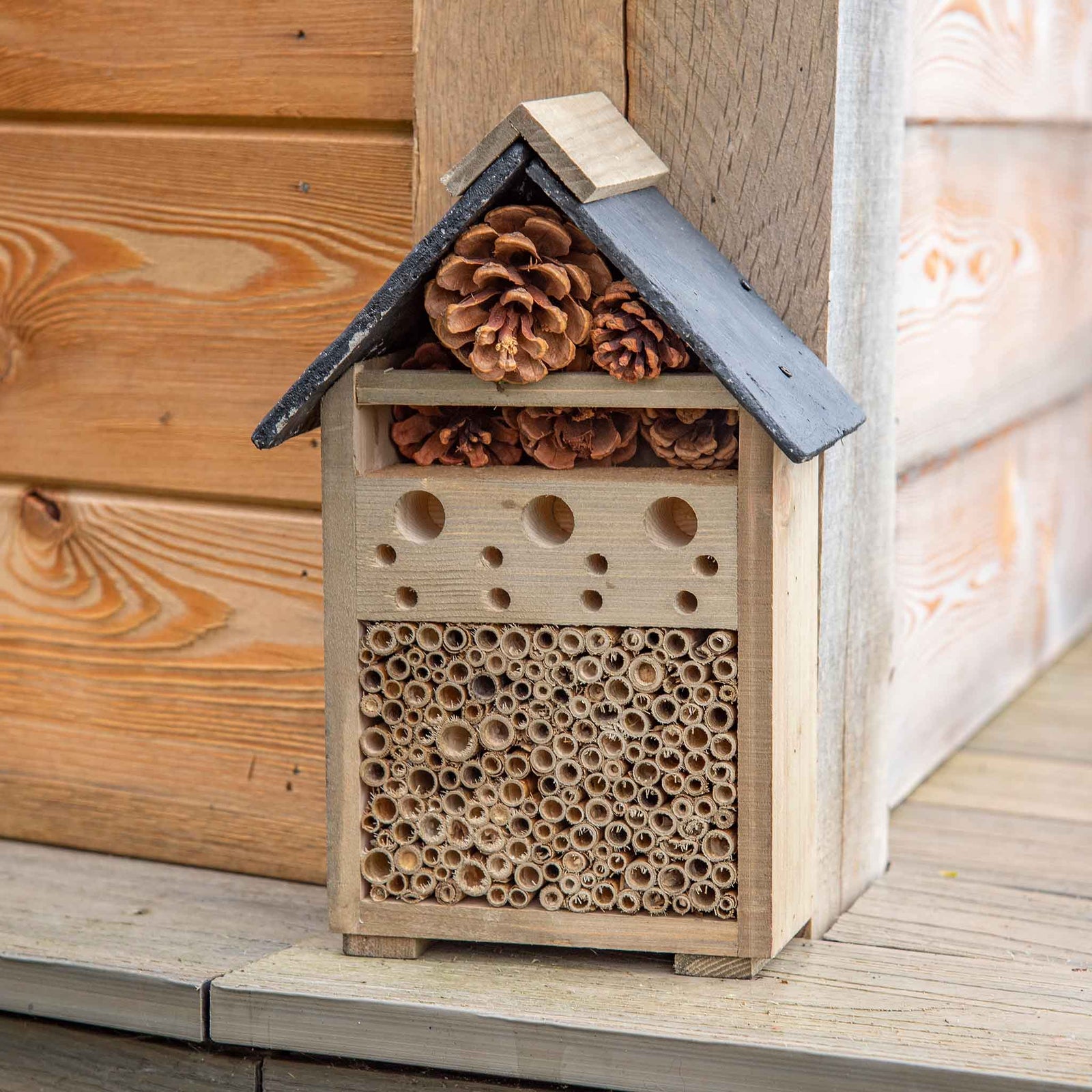 Bee & Bug House - Fsc Pine Insect Hotel | Natural